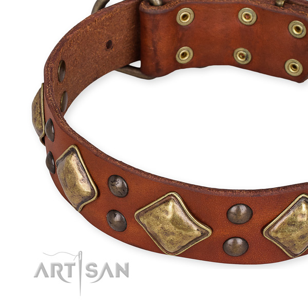 Genuine leather collar with rust-proof fittings for your stylish canine