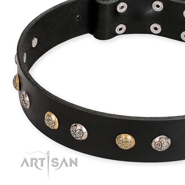 Leather dog collar with awesome reliable embellishments