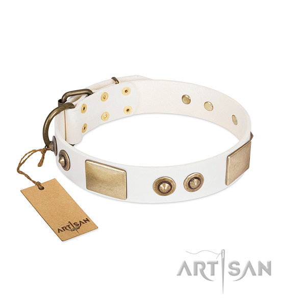 Strong studs on full grain natural leather dog collar for your pet