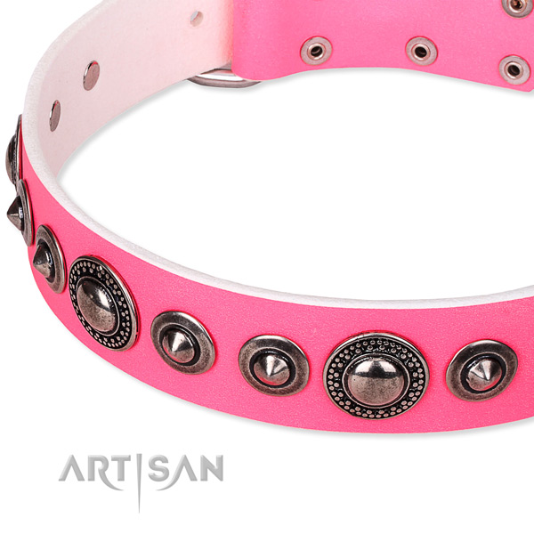 Walking decorated dog collar of strong full grain genuine leather