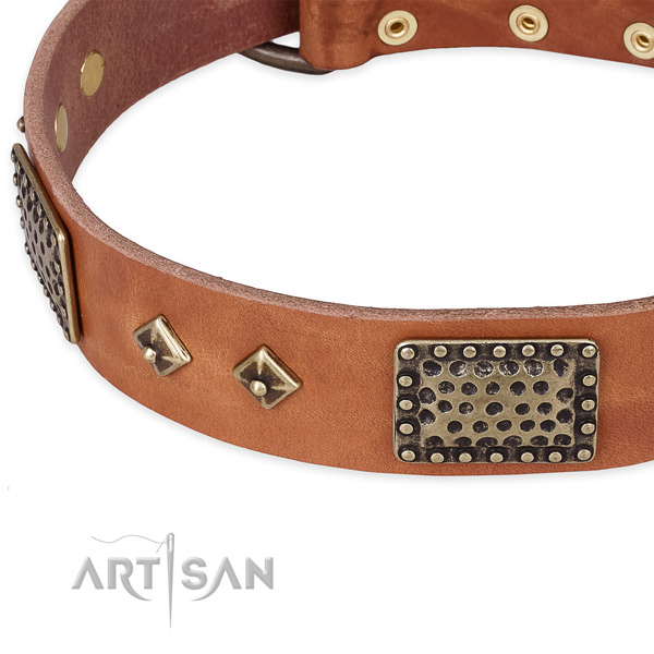 Rust resistant decorations on full grain natural leather dog collar for your dog