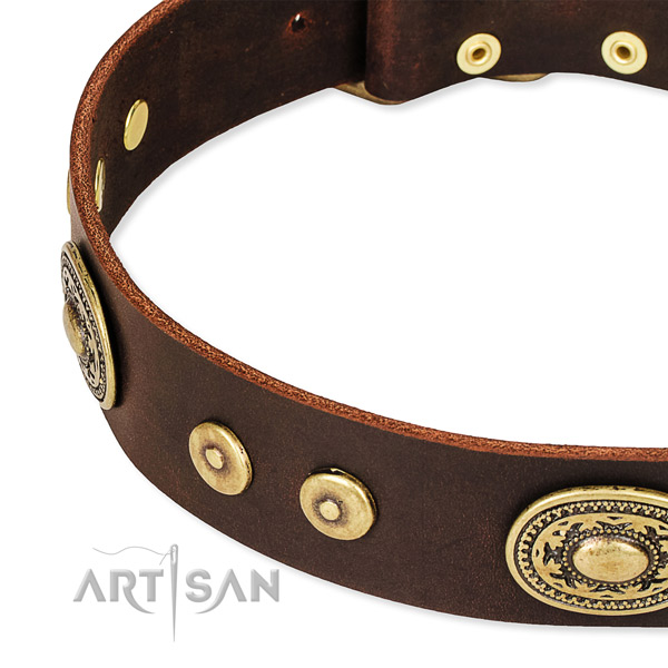 Embellished dog collar made of quality genuine leather