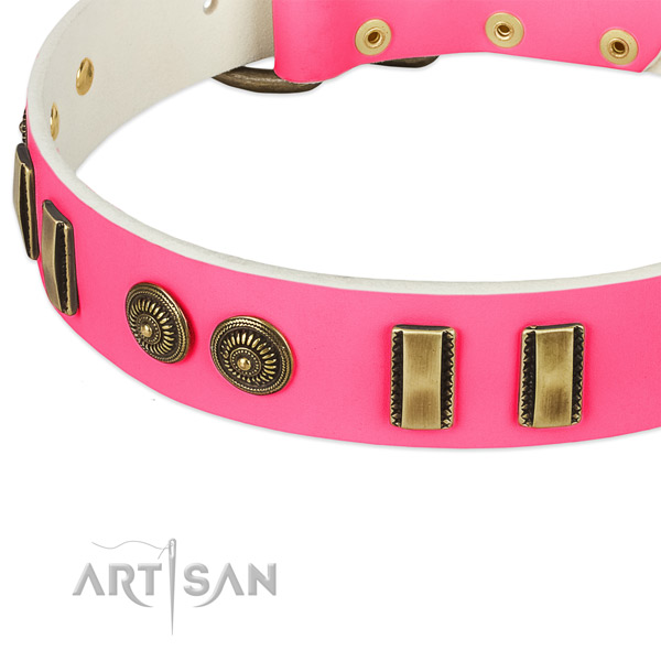 Corrosion resistant embellishments on genuine leather dog collar for your dog