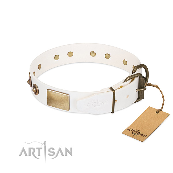 Rust-proof studs on full grain leather dog collar for your canine