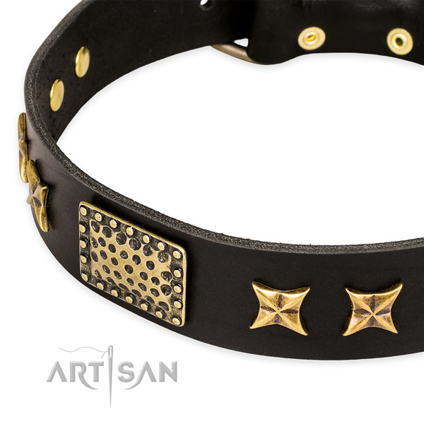 Genuine leather collar with corrosion resistant hardware for your beautiful pet