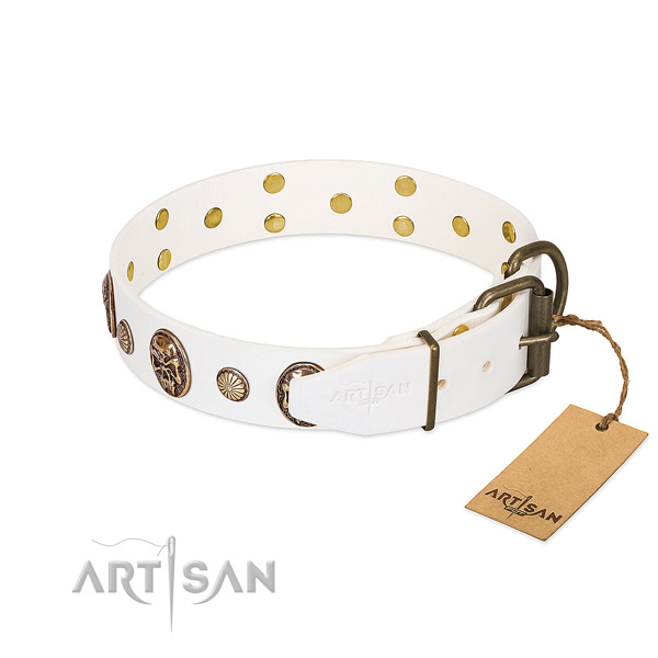 Durable buckle on genuine leather collar for fancy walking your four-legged friend