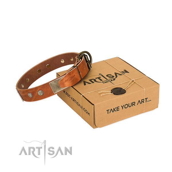 Reliable embellishments on dog collar for handy use