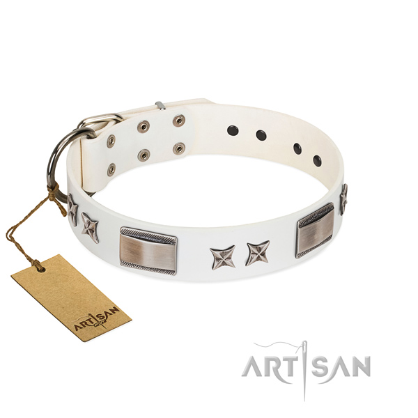 Stunning dog collar of genuine leather