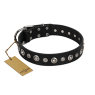"Genteel Charm" FDT Artisan Black Leather Bullmastiff Collar with Silver-like Round Conchos "Genteel Charm" FDT Artisan Black Leather Bullmastiff Collar with Silver-like Round Conchos