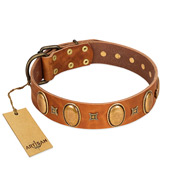 "Glossy Autumn" Designer Handmade FDT Artisan Tan Leather Bullmastiff Collar with Ovals and Studs