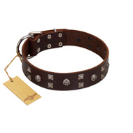 "Brown Shadow" Designer Handmade FDT Artisan Brown Leather Bullmastiff Collar