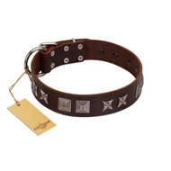 "Needle Stories" Modern FDT Artisan Brown Leather Bullmastiff Collar with Square Engraved Plates and Four-Point Stars