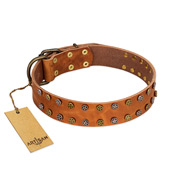 "Walk and Shine" FDT Artisan Tan Leather Bullmastiff Collar with Antiqued Studs