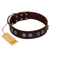 "King Arthur" FDT Artisan Brown Leather Bullmastiff Collar with Spiky Plates