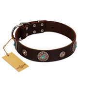 "Magic Stones" FDT Artisan Brown Leather Bullmastiff Collar with Chrome Plated Brooches and Studs
