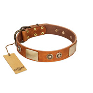 "Perfect Blend" FDT Artisan Tan Leather Bullmastiff Collar 1 1/2 inch (40 mm) wide