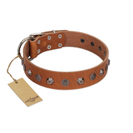 "Silver Age" Fashionable FDT Artisan Tan Leather Bullmastiff Collar with Silver-Like Studs