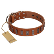 "Silver Century" Fashionable FDT Artisan Tan Leather Bullmastiff Collar with Silver-Like Plates