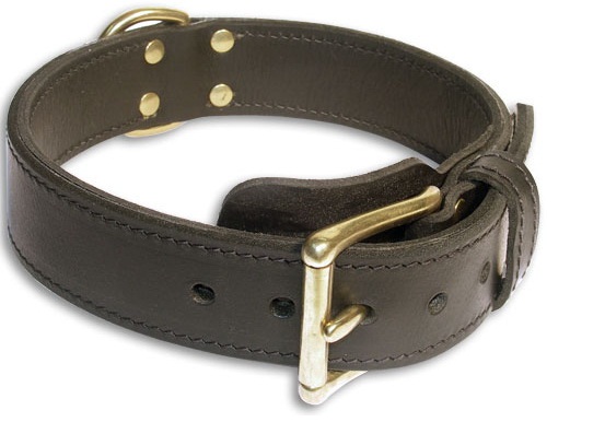 Double Layer Collar 1 3/4 inch for Bullmastiff