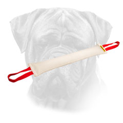 Bite Tug Bullmastiff Fire Hose for Training