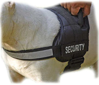 dog harness