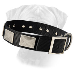 Buckle of a Nylon Collar Helps to Fix the Collar on the Neck