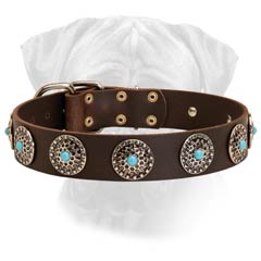 Gorgeous Walking Leather Collar