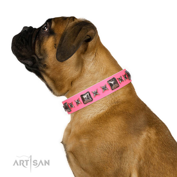 Exceptional decorated natural leather dog collar for comfortable wearing