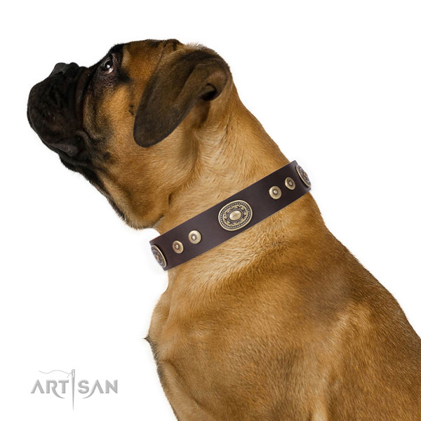 Unique adorned genuine leather dog collar for everyday use