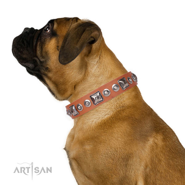 Remarkable embellished natural leather dog collar for basic training