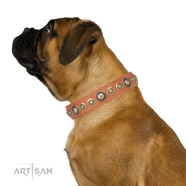 Rust resistant buckle and D-ring on full grain leather dog collar for walking in style