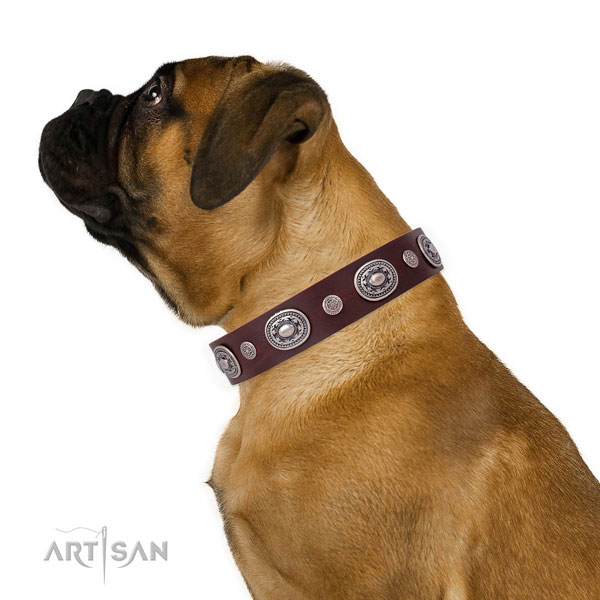 Rust resistant buckle and D-ring on leather dog collar for walking in style