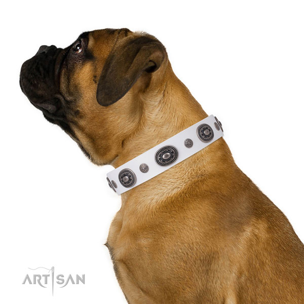 Full grain leather dog collar with durable buckle and D-ring for easy wearing