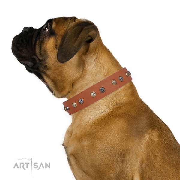 Natural leather dog collar with strong buckle and D-ring for everyday walking