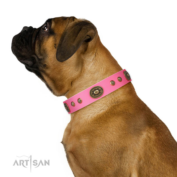 Fashionable decorations on everyday use dog collar