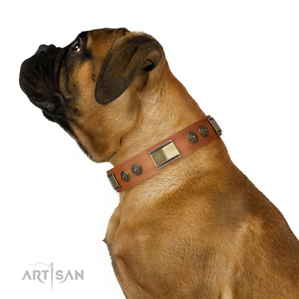 Unique adornments on walking dog collar