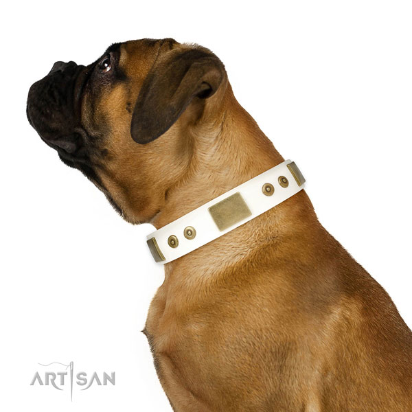 Best quality comfortable wearing dog collar of natural leather
