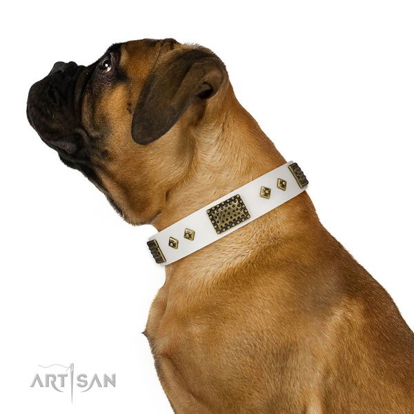 Walking dog collar of natural leather with exquisite studs
