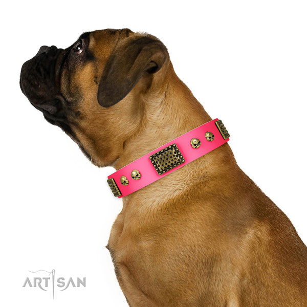 Rust resistant traditional buckle on genuine leather dog collar for everyday use