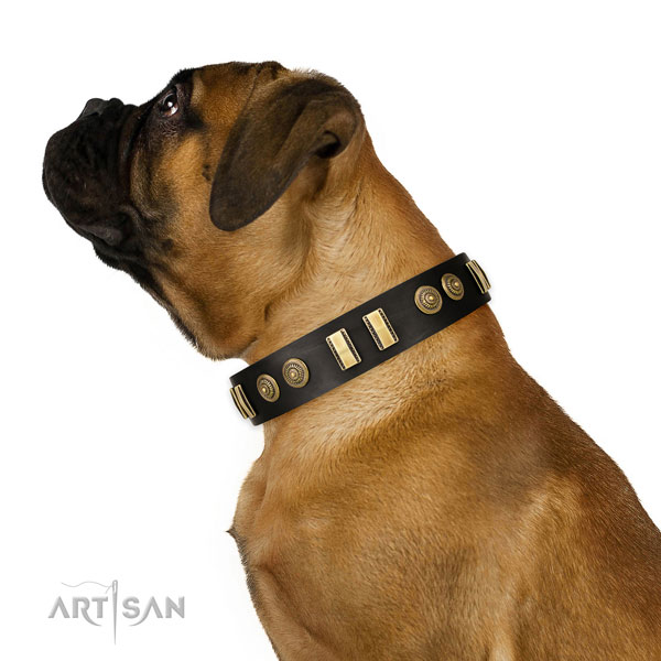 Rust-proof hardware on genuine leather dog collar for everyday walking
