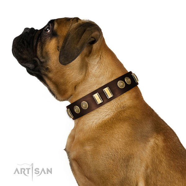 Rust resistant buckle on full grain leather dog collar for fancy walking