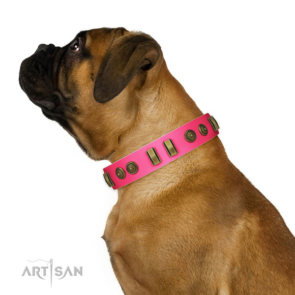 Comfortable wearing dog collar of natural leather with extraordinary adornments