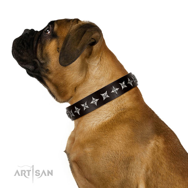 Walking decorated dog collar of best quality leather