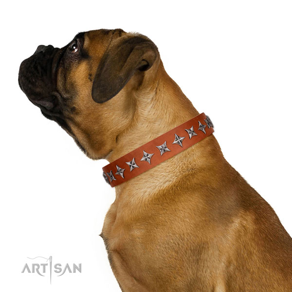 Reliable full grain natural leather dog collar with remarkable decorations