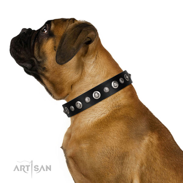 Fine quality full grain leather dog collar with remarkable adornments