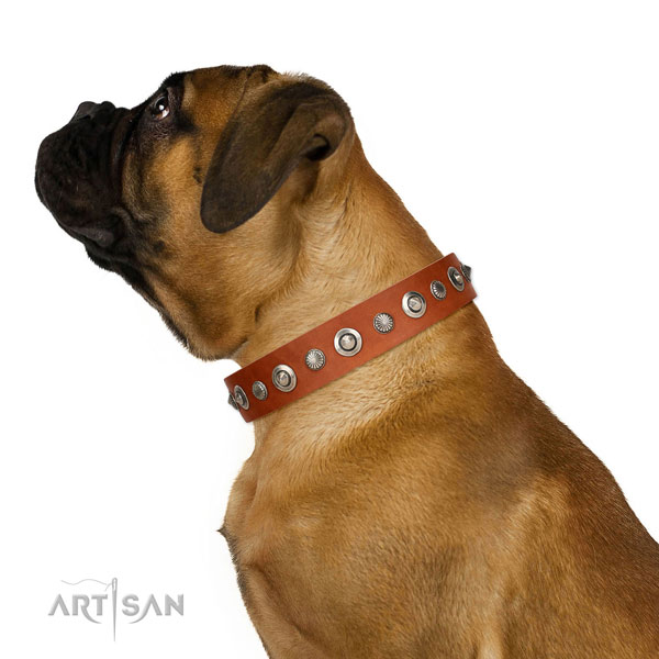 Top notch full grain genuine leather dog collar with unusual decorations