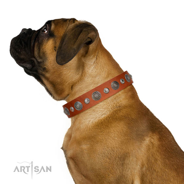 Adjustable genuine leather dog collar with rust-proof traditional buckle