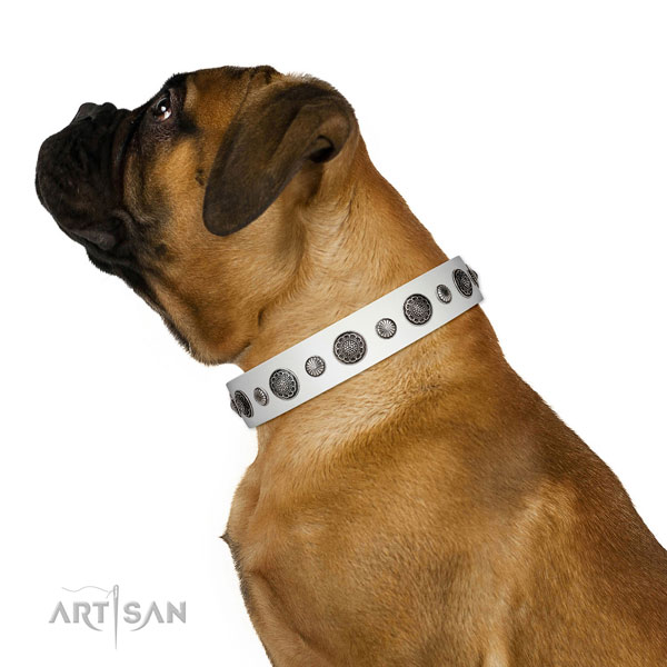 Easy wearing full grain leather dog collar with corrosion resistant buckle
