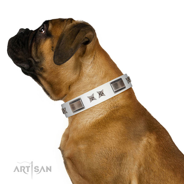 Remarkable collar of full grain natural leather for your impressive dog