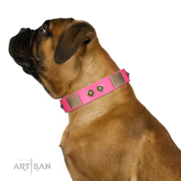 Comfortable wearing dog collar of genuine leather with awesome decorations